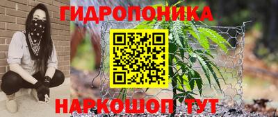 дживик Ачхой-Мартан