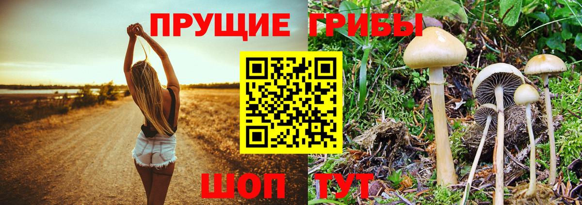 Галлюциногенные грибы ЛСД Ипатово