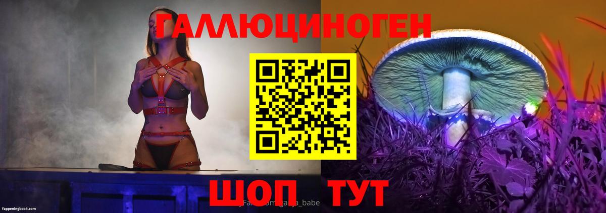 Галлюциногенные грибы Cubensis  Псилоцибиновые грибы Psilocybine cubensis  Ипатово  Вход с VPN 